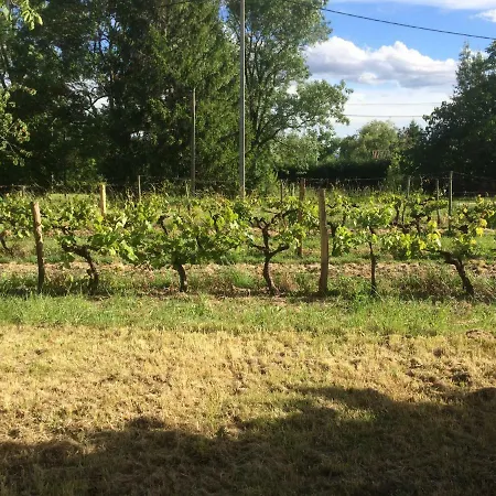 Brandet بيت للعطل