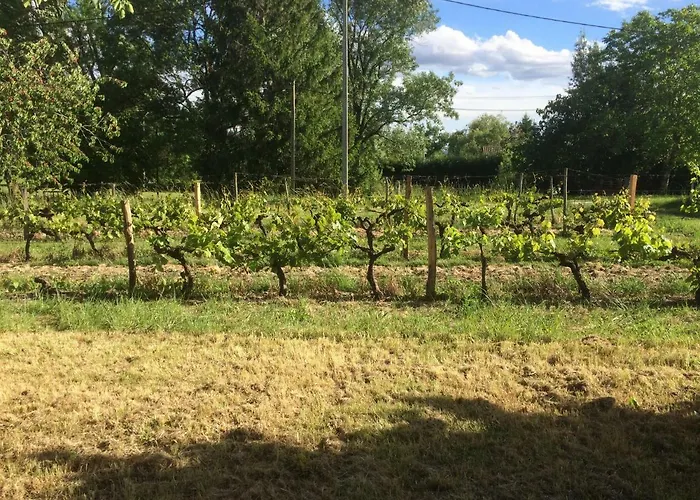 Brandet Сasa de vacaciones